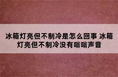 冰箱灯亮但不制冷是怎么回事 冰箱灯亮但不制冷没有嗡嗡声音